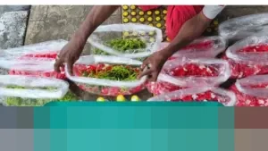 Di Tengah Gemerlap Sentra Bunga Jakarta, Kisah Bambang, Penjual Bunga Tabur Sederhana di Trotoar Rawa Belong