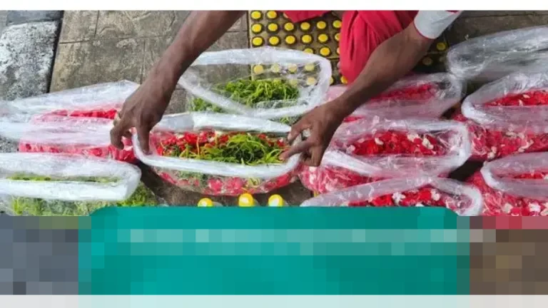 Di Tengah Gemerlap Sentra Bunga Jakarta, Kisah Bambang, Penjual Bunga Tabur Sederhana di Trotoar Rawa Belong Di Tengah Gemerlap Sentra Bunga Jakarta, Kisah Bambang, Penjual Bunga Tabur Sederhana di Trotoar Rawa Belong