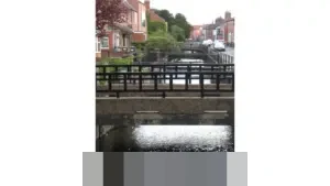 Dilema Ambang Batas Parlemen: Menakar Keseimbangan Stabilitas dan Keadilan Representasi