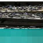 Dinas Pertanian Bangli Ungkap Penyebab Serangan Lalat di Kintamani saat Musim Hujan