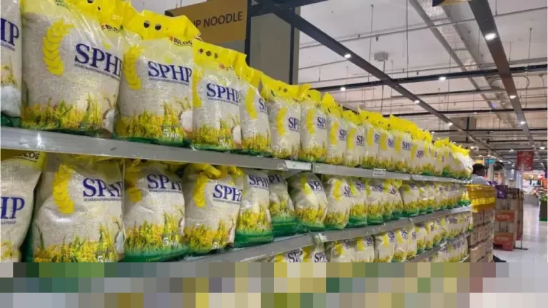 Direktur Utama Bulog Pastikan Target Beras Satu Harga Nasional, Serapan 4 Juta Ton Jadi Kunci