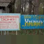 DJP Tegaskan Sanksi Tegas hingga Pemberhentian bagi Pegawai Terjaring OTT KPK di Jakarta Utara