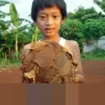 DLH DKI Jakarta Targetkan Penanganan Tumpukan Sampah di Pasar Kramat Jati Tuntas dalam Lima Hari