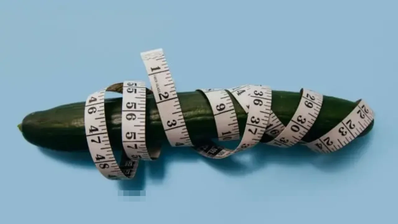 Dokter Ungkap 4 Alasan Medis di Balik Perasaan Organ Intim Pria yang Tampak Menyusut Dokter Ungkap 4 Alasan Medis di Balik Perasaan Organ Intim Pria yang Tampak Menyusut