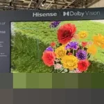 Dolby Umumkan Hisense, TCL, dan Philips Jadi TV Pertama Dukung Dolby Vision 2 di CES 2026