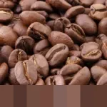 Donasi Pembangunan Masjid Al-Huda Gunungkidul Capai Rp 1 Miliar Usai Ditipu Oknum Donatur