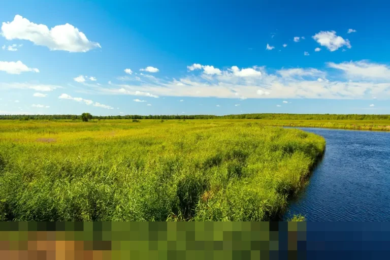 DPR dan Pemerintah Sepakati Target Pemulihan Pascabencana Sumatera Normal Sebelum Puasa DPR dan Pemerintah Sepakati Target Pemulihan Pascabencana Sumatera Normal Sebelum Puasa