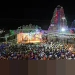 Drama Enam Gol Warnai Imbangnya Eintracht Frankfurt Kontra Borussia Dortmund 3-3