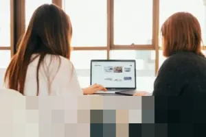 Elementor Perluas Fitur Aksesibilitas, Ubah Plugin Ally Jadi Pemindai Web Gratis Tanpa Instalasi