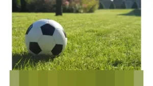 Empat Talenta Inggris Beraksi di Eredivisie 2025/2026: Ajang Pembuktian Karier Muda