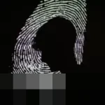 Era Anonimitas Digital Berakhir? Verifikasi Usia Online Ancam Privasi Pengguna di 2026