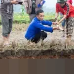 ESDM Kerahkan Tim Ahli Geologi, Kaji Fenomena Sinkhole Misterius di Sawah Limapuluh Kota