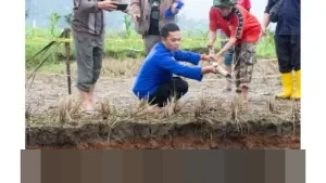 ESDM Kerahkan Tim Ahli Geologi, Kaji Fenomena Sinkhole Misterius di Sawah Limapuluh Kota