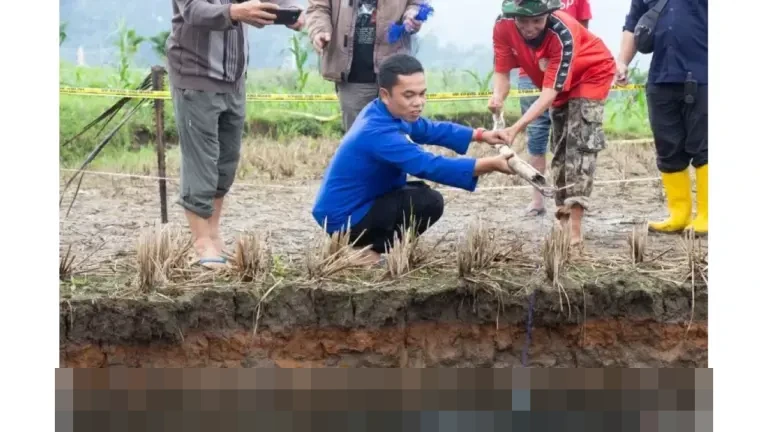 ESDM Kerahkan Tim Ahli Geologi, Kaji Fenomena Sinkhole Misterius di Sawah Limapuluh Kota