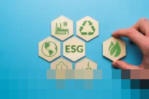 ETF ESGV Vanguard Tetap Ungguli Benchmark Sejak Awal, Namun Sejumlah Pesaing Lebih Menjanjikan