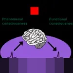 Fenomenal! Igor Thiago Pecahkan Rekor Gol Pemain Brasil Terbanyak dalam Semusim Premier League