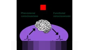 Fenomenal! Igor Thiago Pecahkan Rekor Gol Pemain Brasil Terbanyak dalam Semusim Premier League