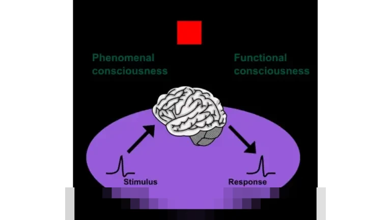 Fenomenal! Igor Thiago Pecahkan Rekor Gol Pemain Brasil Terbanyak dalam Semusim Premier League