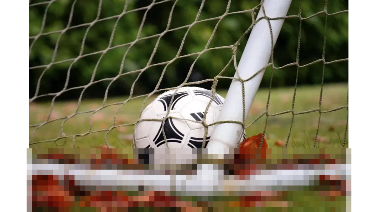 Gabon Angkat Koper Lebih Awal dari Piala Afrika 2025, Empat Pemain Ini Tetap Bersinar