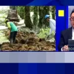 GAPKI Keluhkan Aturan DHE SDA Baru: Beban Pengusaha Sawit Bertambah Akibat Penahanan Devisa