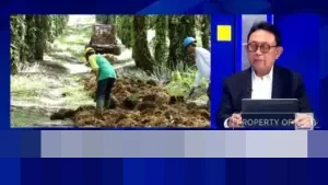 GAPKI Keluhkan Aturan DHE SDA Baru: Beban Pengusaha Sawit Bertambah Akibat Penahanan Devisa