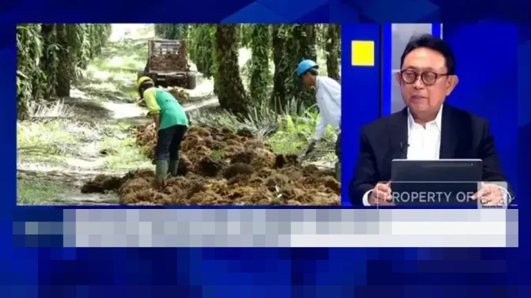 GAPKI Keluhkan Aturan DHE SDA Baru: Beban Pengusaha Sawit Bertambah Akibat Penahanan Devisa