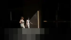 Gelombang Panas Ekstrem Panggang Santiago, Chili: Suhu 36 Derajat Celcius Memicu Peringatan Merah