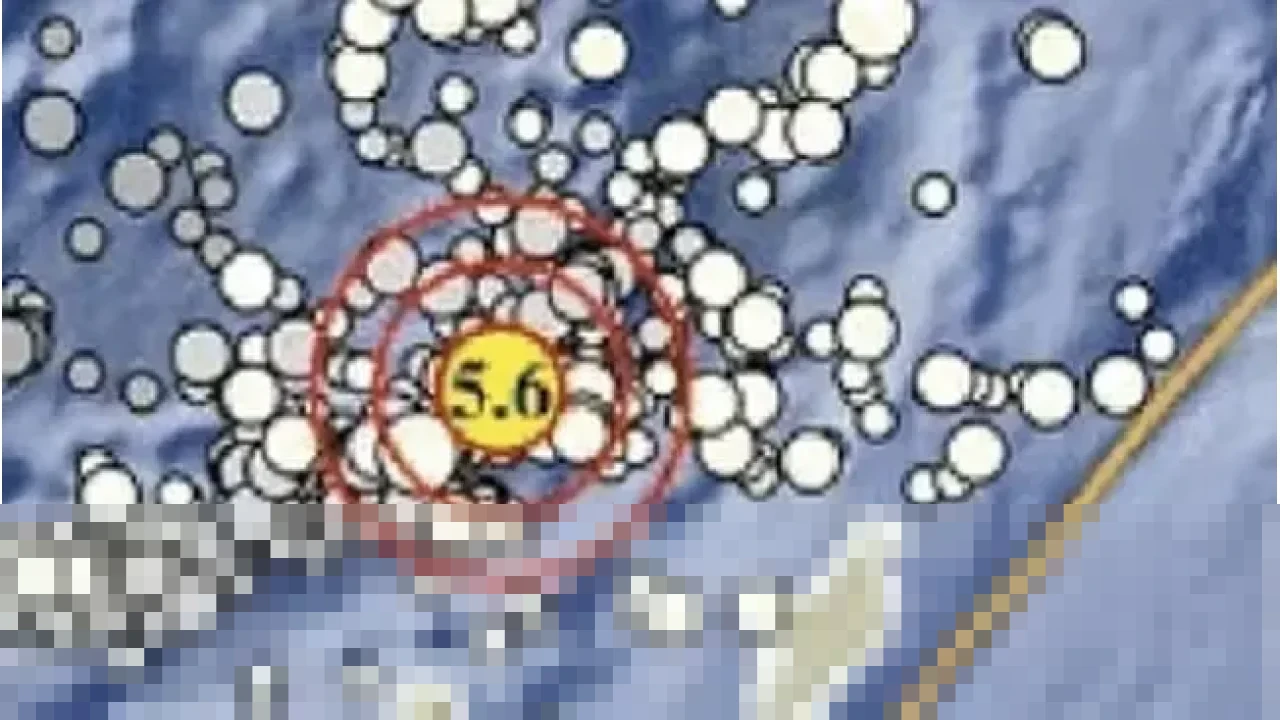 Gempa M 5,6 Guncang Tanimbar Maluku pada Awal 2026, BMKG Pastikan Tak Berpotensi Tsunami