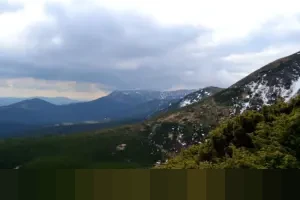 Hakim PN Tipikor: “Kami Terima Permohonan Penyitaan Aset Nadiem Makarim di Dharmawangsa”