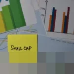 Harbor International Small Cap Fund Hanya Tumbuh 1,76% di Kuartal III 2025, Jauh di Bawah Indeks Acuan