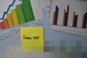 Harbor International Small Cap Fund Hanya Tumbuh 1,76% di Kuartal III 2025, Jauh di Bawah Indeks Acuan