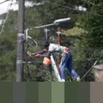 Harga Bersaing, RT/RW Net Jadi Pilihan Warga Meski Kualitas dan Legalitasnya Disorot