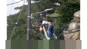 Harga Bersaing, RT/RW Net Jadi Pilihan Warga Meski Kualitas dan Legalitasnya Disorot