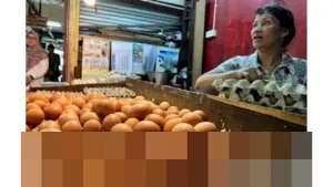 Harga Pangan Nasional per 3 Januari 2026: Cabai Rawit Merah Rp67.300/Kg, Telur Ayam Rp32.750/Kg