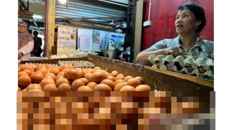 Harga Pangan Nasional per 3 Januari 2026: Cabai Rawit Merah Rp67.300/Kg, Telur Ayam Rp32.750/Kg Harga Pangan Nasional per 3 Januari 2026: Cabai Rawit Merah Rp67.300/Kg, Telur Ayam Rp32.750/Kg