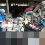 Harga Sampah Anjlok, Pelaku Ekonomi Sirkular Arus Bawah Terancam Bangkrut, Negara Diminta Hadir