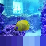 Hari Gerakan Satu Juta Pohon: Sejarah, Tujuan, dan Peran Twibbon dalam Kampanye Lingkungan