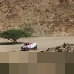 Hino 600 Series Unjuk Ketangguhan di Dakar Rally 2026, Tembus 10 Besar Kategori Truk