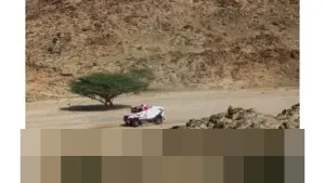 Hino 600 Series Unjuk Ketangguhan di Dakar Rally 2026, Tembus 10 Besar Kategori Truk