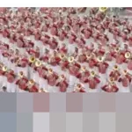 Hujan Tak Halangi Kemegahan Parade Mawar ke-137 di Pasadena, AS: Menilik Sejarah ‘Kota Mawar’