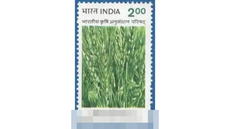 iCar V23 Raih Peringkat Bintang Lima ASEAN NCAP, Siap Ramaikan Pasar SUV Listrik Indonesia