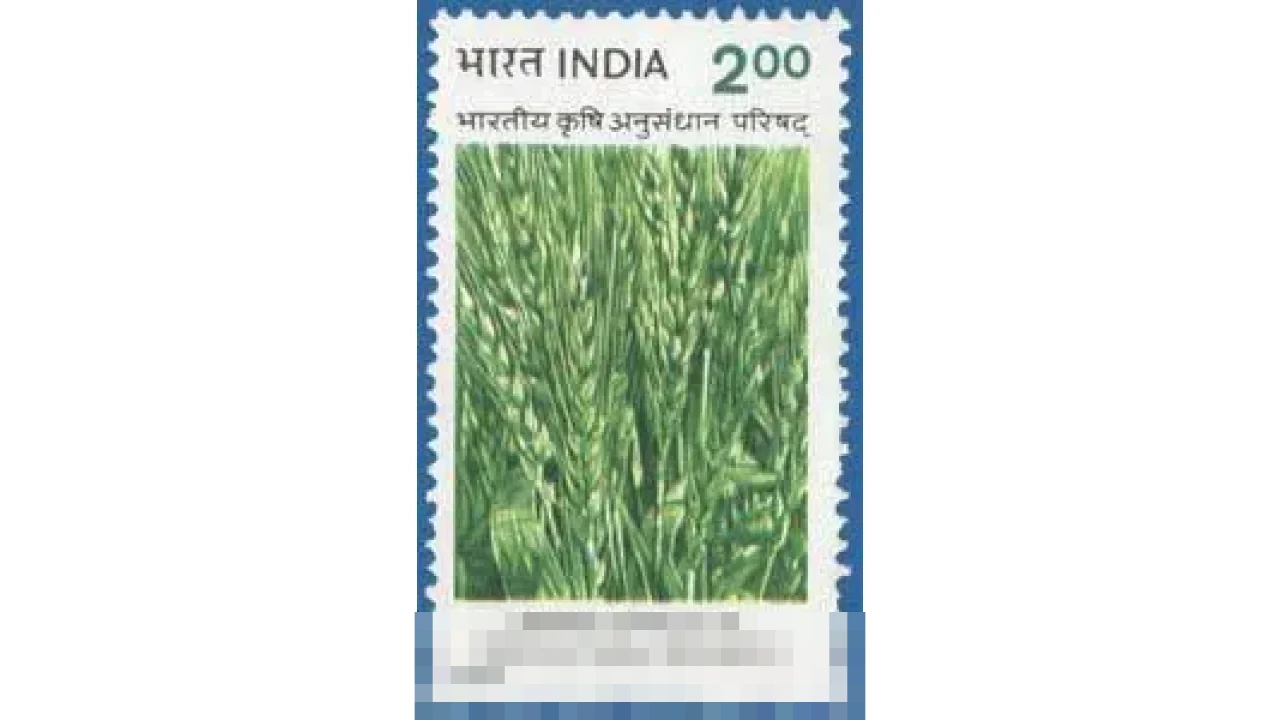 iCar V23 Raih Peringkat Bintang Lima ASEAN NCAP, Siap Ramaikan Pasar SUV Listrik Indonesia