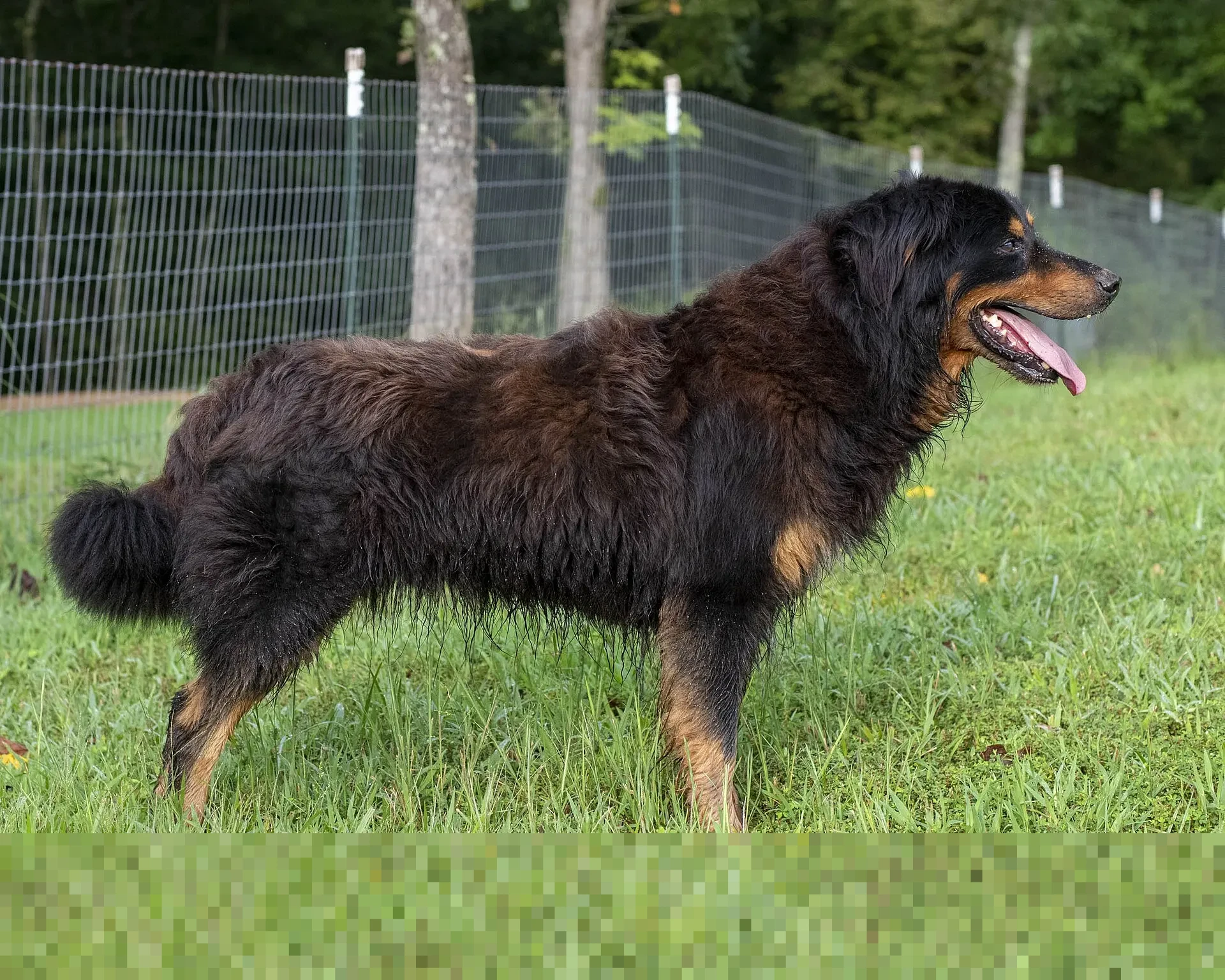 IESR Peringatkan Kinerja Energi Terbarukan 2025 Jauh dari Target, Investasi Masih Tertinggal