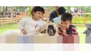 Ijen Farmhouse Banyuwangi: Destinasi Edukasi Satwa Unik Pikat Ribuan Wisatawan di Momen Libur Panjang