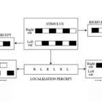 Ilusi Mutu di Balik Angka Akreditasi: Perpustakaan Indonesia Antara Capaian Administratif dan Realitas Layanan Publik