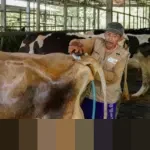 Ramalan Weton Hari Ini, 9 Januari 2026 – Bagaimana Rezeki Dan Karir Jum’at Legi Menurut Weton Primbon?