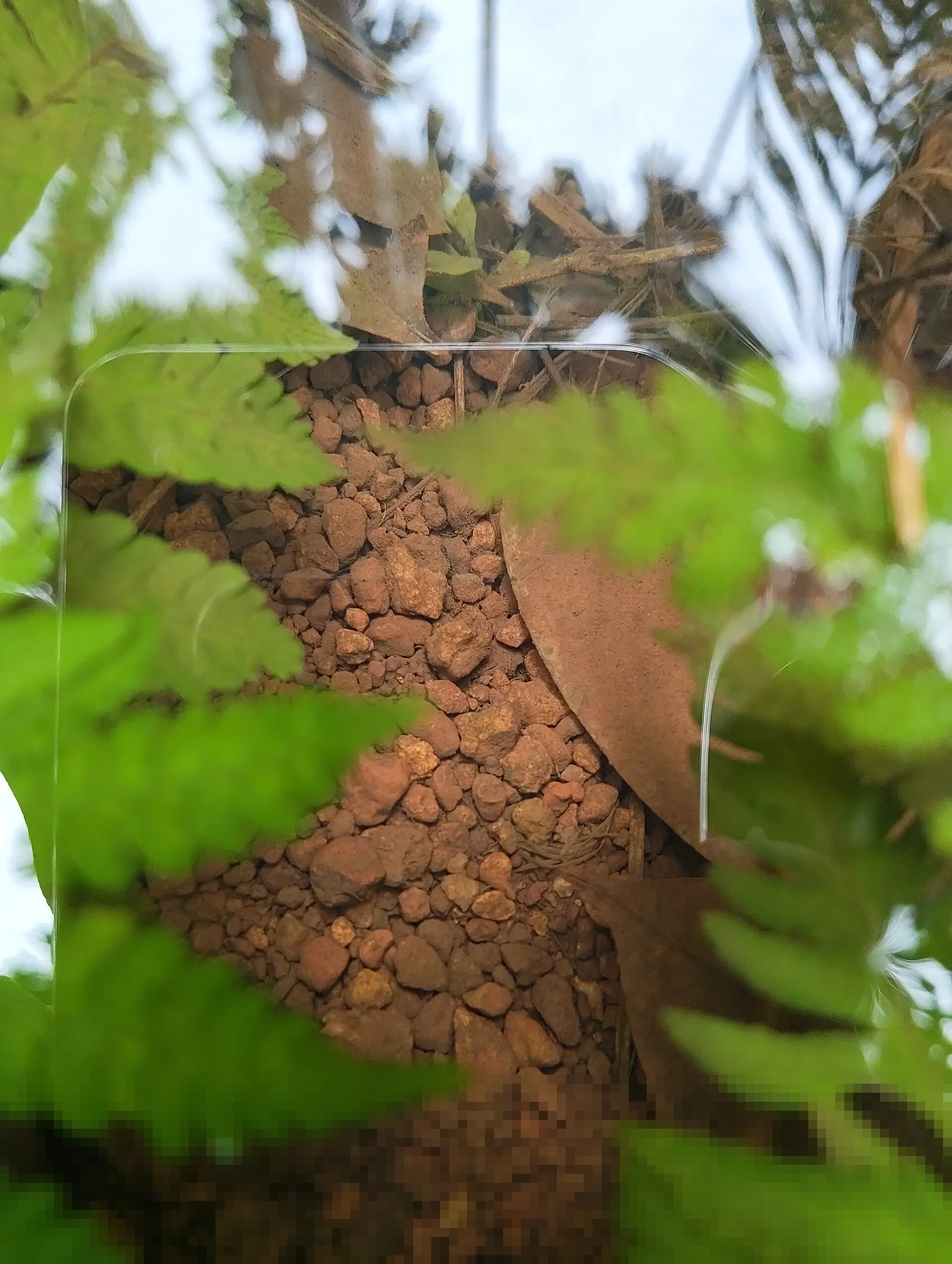 Indeks IBC Caracas Melesat 14,32 Persen: Pasar Saham Venezuela Melonjak Tajam di Tengah Gejolak Politik Indeks IBC Caracas Melesat 14,32 Persen: Pasar Saham Venezuela Melonjak Tajam di Tengah Gejolak Politik