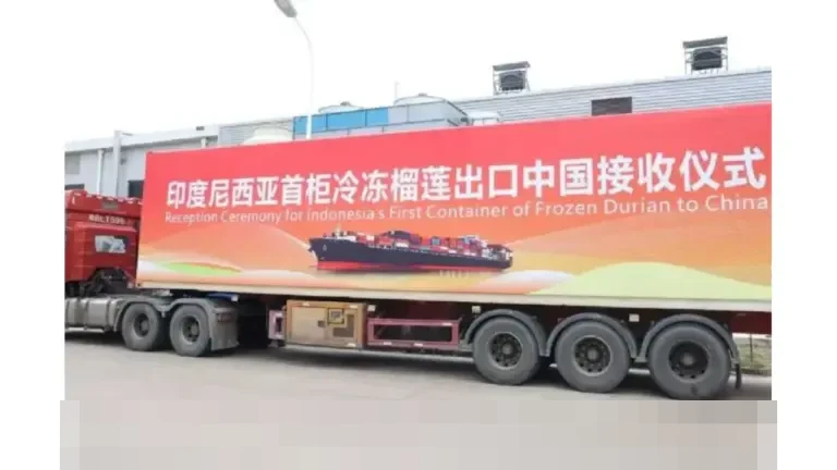 Indonesia Umumkan Durian Beku Resmi Masuki Pasar Tiongkok, Kepala Barantin Pastikan Standar Mutu Internasional Indonesia Umumkan Durian Beku Resmi Masuki Pasar Tiongkok, Kepala Barantin Pastikan Standar Mutu Internasional