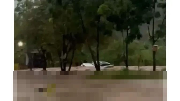 Jalan Lingkar Selatan Cilegon Lumpuh Total Akibat Banjir, BPBD Soroti Drainase Buruk dan Industri Jalan Lingkar Selatan Cilegon Lumpuh Total Akibat Banjir, BPBD Soroti Drainase Buruk dan Industri