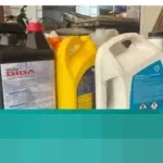 Jangan Abai! Ganti Coolant Radiator Mobil Rutin untuk Hindari Kerusakan Mesin Fatal